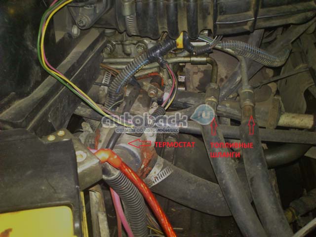 замена поршневых колец ваз своими руками